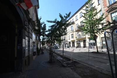 Ze Zwierzynieckiej znikają drzewa i... kocie łby, miłorzęby trafią do Przegorzał - zdjęcie 9