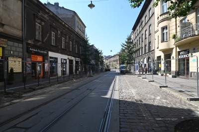 Ze Zwierzynieckiej znikają drzewa i... kocie łby, miłorzęby trafią do Przegorzał - zdjęcie 8