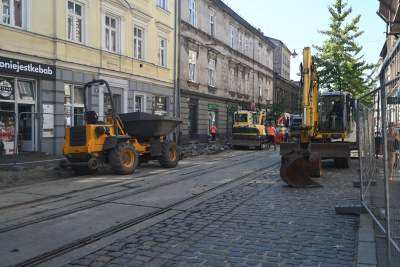 Ze Zwierzynieckiej znikają drzewa i... kocie łby, miłorzęby trafią do Przegorzał - zdjęcie 7