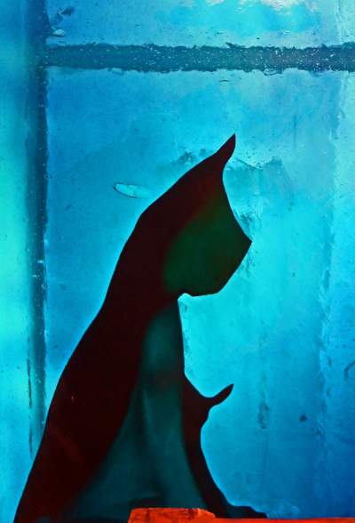 „Apollo. System Kopernika”: witraż projektu Wyspiańskiego wysłany do Rzymu - zdjęcie 17