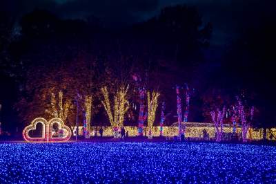 To miejsce uwielbiają nie tylko dzieci, ogród świateł znów zachwyca - zdjęcie 53