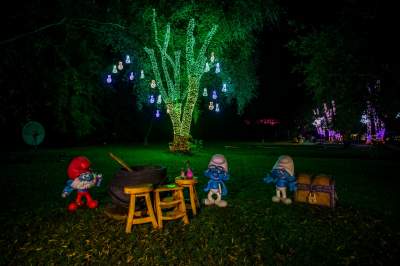 To miejsce uwielbiają nie tylko dzieci, ogród świateł znów zachwyca - zdjęcie 26