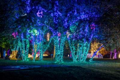 To miejsce uwielbiają nie tylko dzieci, ogród świateł znów zachwyca - zdjęcie 36