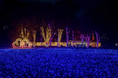 To miejsce uwielbiają nie tylko dzieci, ogród świateł znów zachwyca - zdjęcie 52