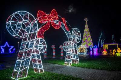 To miejsce uwielbiają nie tylko dzieci, ogród świateł znów zachwyca - zdjęcie 37