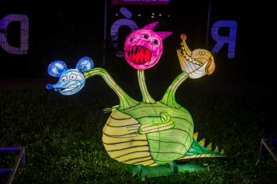 To miejsce uwielbiają nie tylko dzieci, ogród świateł znów zachwyca - zdjęcie 39