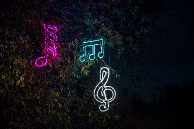 To miejsce uwielbiają nie tylko dzieci, ogród świateł znów zachwyca - zdjęcie 48