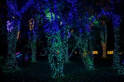 To miejsce uwielbiają nie tylko dzieci, ogród świateł znów zachwyca - zdjęcie 56