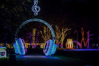 To miejsce uwielbiają nie tylko dzieci, ogród świateł znów zachwyca - zdjęcie 47