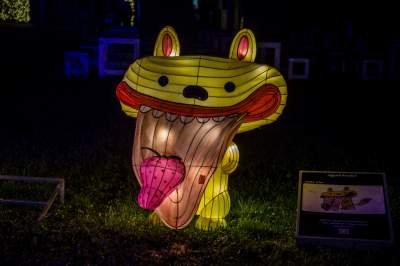 To miejsce uwielbiają nie tylko dzieci, ogród świateł znów zachwyca - zdjęcie 40