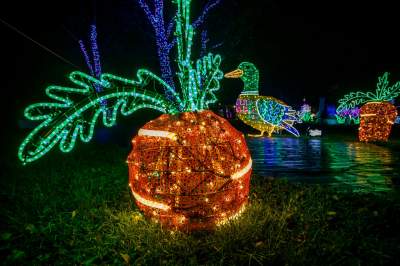 To miejsce uwielbiają nie tylko dzieci, ogród świateł znów zachwyca - zdjęcie 8