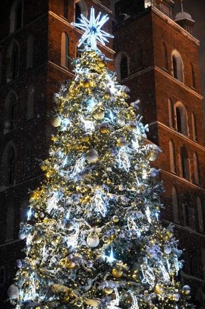 Choinka na Rynku, świąteczna iluminacja i zima. Turyści lubią to! - zdjęcie 21