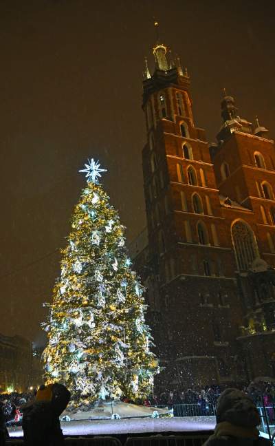 Choinka na Rynku, świąteczna iluminacja i zima. Turyści lubią to! - zdjęcie 26