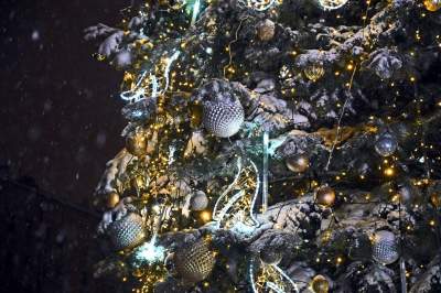 Choinka na Rynku, świąteczna iluminacja i zima. Turyści lubią to! - zdjęcie 25