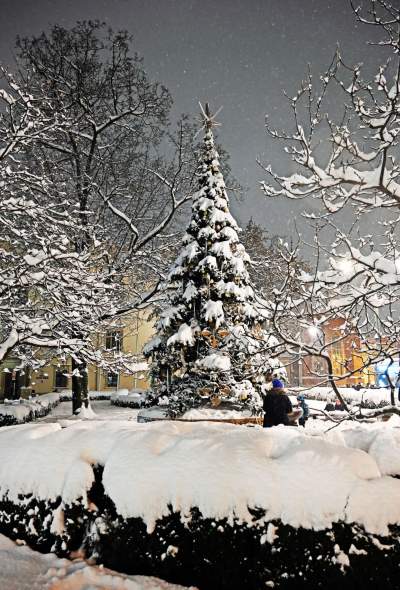 Choinka na Rynku, świąteczna iluminacja i zima. Turyści lubią to! - zdjęcie 17