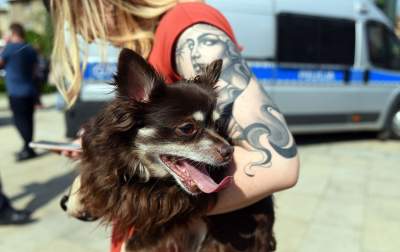 Marsz Równości: Kraków, maj 2019 - zdjęcie 14