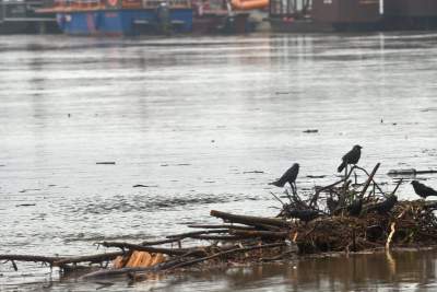 Woda powoli opada, ale sprzątania będzie sporo... - zdjęcie 20