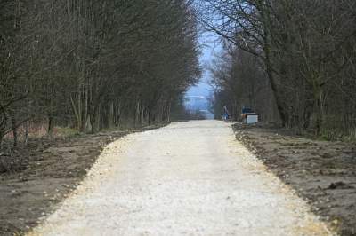 „KL Plaszow. Miejsce po, miejsce bez”, miejsce szczególne w Krakowie - zdjęcie 18