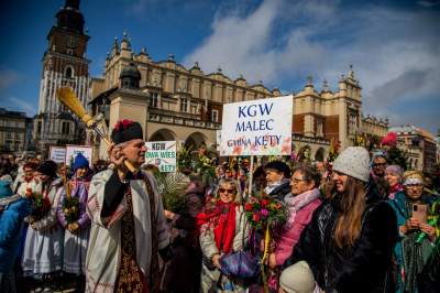Barwna tradycja, czyli Niedziela Palmowa w Krakowie - zdjęcie 17
