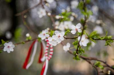Barwna tradycja, czyli Niedziela Palmowa w Krakowie - zdjęcie 22