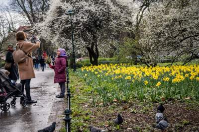 Barwna tradycja, czyli Niedziela Palmowa w Krakowie - zdjęcie 25