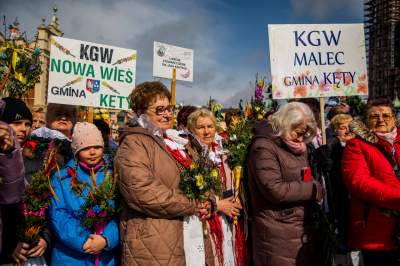 Barwna tradycja, czyli Niedziela Palmowa w Krakowie - zdjęcie 15