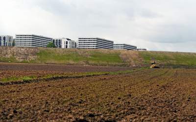 Okolice Nowej Huty: rzepak w tym roku oszalał - zdjęcie 28