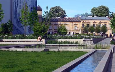 Park Szymborskiej utonął w białych i czarnych tulipanach - zdjęcie 35