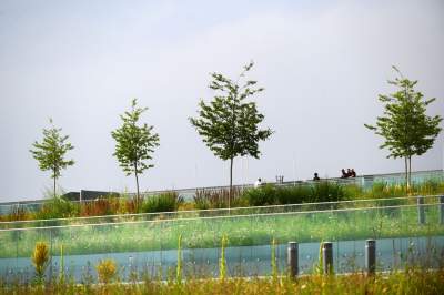 Takie widoki z dachu krakowskiego centrum nauki. Już otwarte! - zdjęcie 20