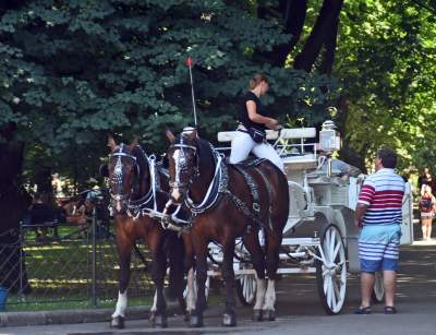 Skuteczna strategia na upał? Prognozy też dają nadzieję - zdjęcie 32