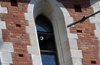 Wizytówka Krakowa? Wielki bałagan na Rynku Głównym - zdjęcie 19