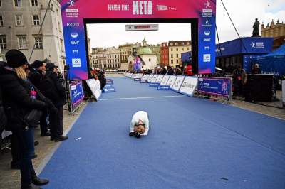 Te nogi poniosły ich do zwycięstwa, wielkie bieganie w Krakowie - zdjęcie 20