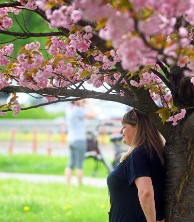 Prawie jak w Japonii, wyjątkowy zakątek w Krakowie przyciąga tłumy - zdjęcie 21