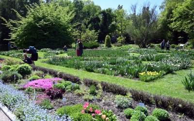 Najlepsze miejsce na spacer w Krakowie, zwłaszcza o tej porze roku - zdjęcie 22