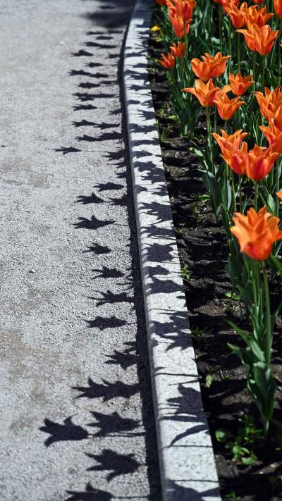 Najlepsze miejsce na spacer w Krakowie, zwłaszcza o tej porze roku - zdjęcie 12