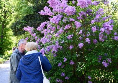 Najlepsze miejsce na spacer w Krakowie, zwłaszcza o tej porze roku - zdjęcie 27