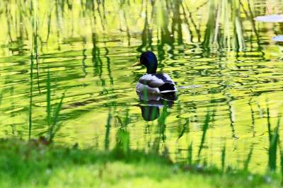 Najlepsze miejsce na spacer w Krakowie, zwłaszcza o tej porze roku - zdjęcie 40