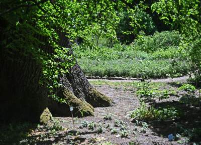Najlepsze miejsce na spacer w Krakowie, zwłaszcza o tej porze roku - zdjęcie 20