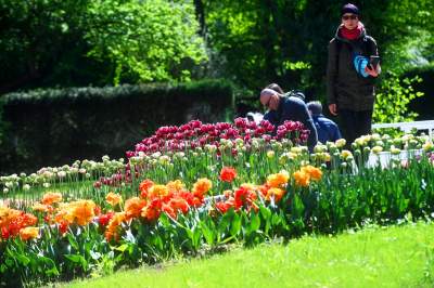 Najlepsze miejsce na spacer w Krakowie, zwłaszcza o tej porze roku - zdjęcie 60