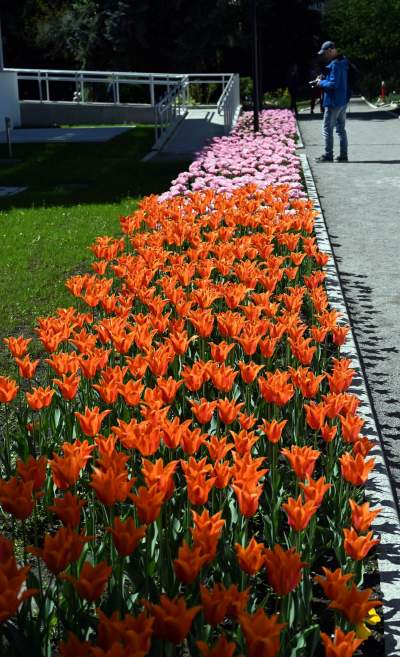Najlepsze miejsce na spacer w Krakowie, zwłaszcza o tej porze roku - zdjęcie 15