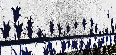 Najlepsze miejsce na spacer w Krakowie, zwłaszcza o tej porze roku - zdjęcie 13