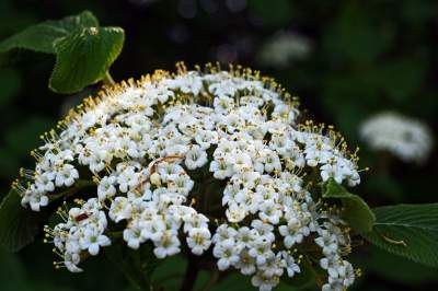 Najlepsze miejsce na spacer w Krakowie, zwłaszcza o tej porze roku - zdjęcie 37