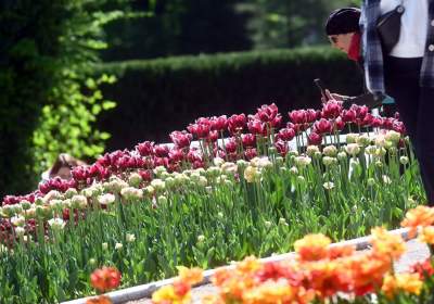 Najlepsze miejsce na spacer w Krakowie, zwłaszcza o tej porze roku - zdjęcie 56