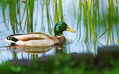 Najlepsze miejsce na spacer w Krakowie, zwłaszcza o tej porze roku - zdjęcie 43