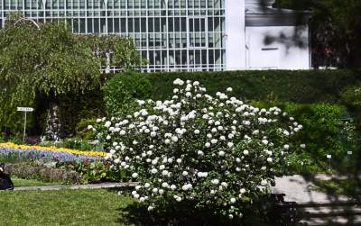 Najlepsze miejsce na spacer w Krakowie, zwłaszcza o tej porze roku - zdjęcie 35