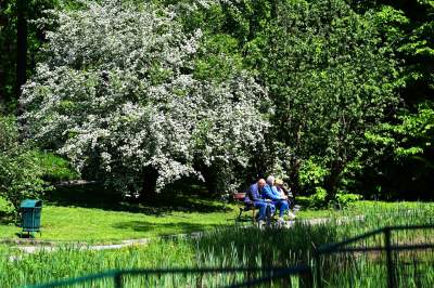 Najlepsze miejsce na spacer w Krakowie, zwłaszcza o tej porze roku - zdjęcie 31