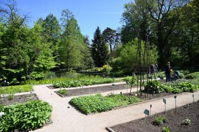 Najlepsze miejsce na spacer w Krakowie, zwłaszcza o tej porze roku - zdjęcie 25