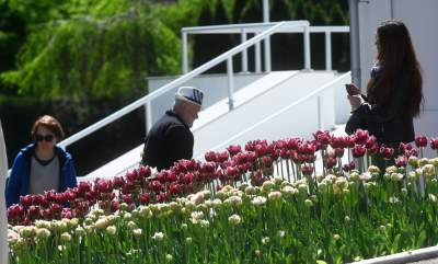Najlepsze miejsce na spacer w Krakowie, zwłaszcza o tej porze roku - zdjęcie 54