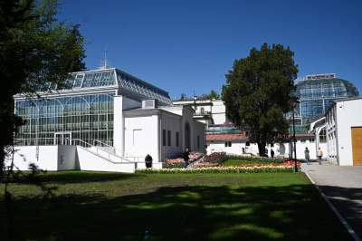 Najlepsze miejsce na spacer w Krakowie, zwłaszcza o tej porze roku - zdjęcie 21