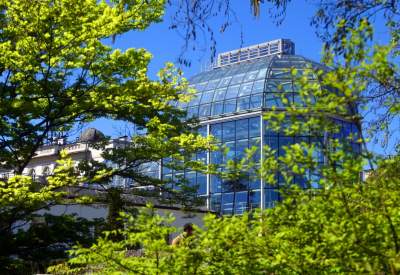 Najlepsze miejsce na spacer w Krakowie, zwłaszcza o tej porze roku - zdjęcie 50